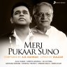 Meri Pukaar Suno - Single (Hindi) [2021] (Sony Music)