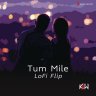 Tum Mile (Lofi Flip) - Single (Hindi) [2021] (Sony Music)