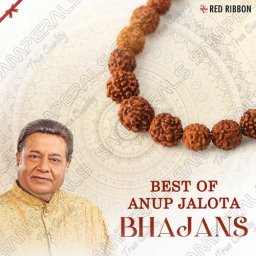Best of Anup Jalota Bhajans (Hindi) [2022] (Red Ribbon)